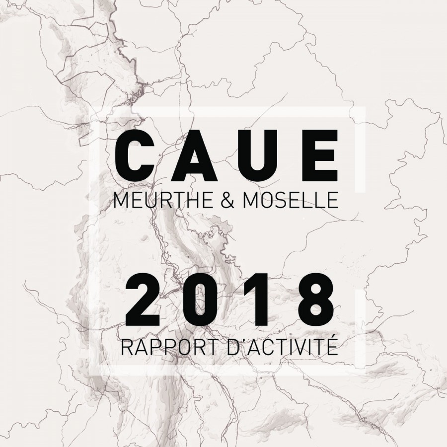 Rapport d'activité